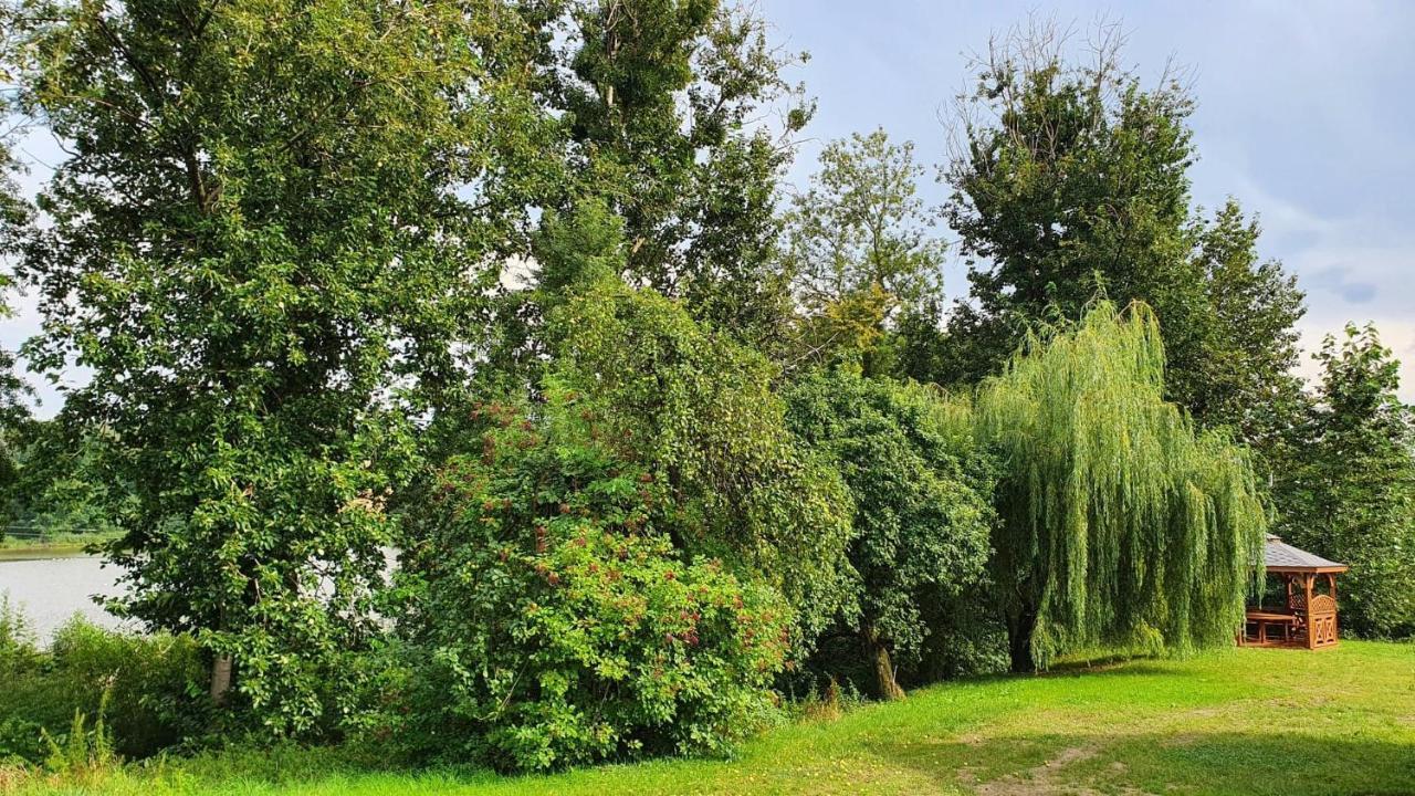Nasz Debowiec - Dom Dla 15 Osob, Sauna, Widok Na Staw, Wielka Dzialka Exterior photo