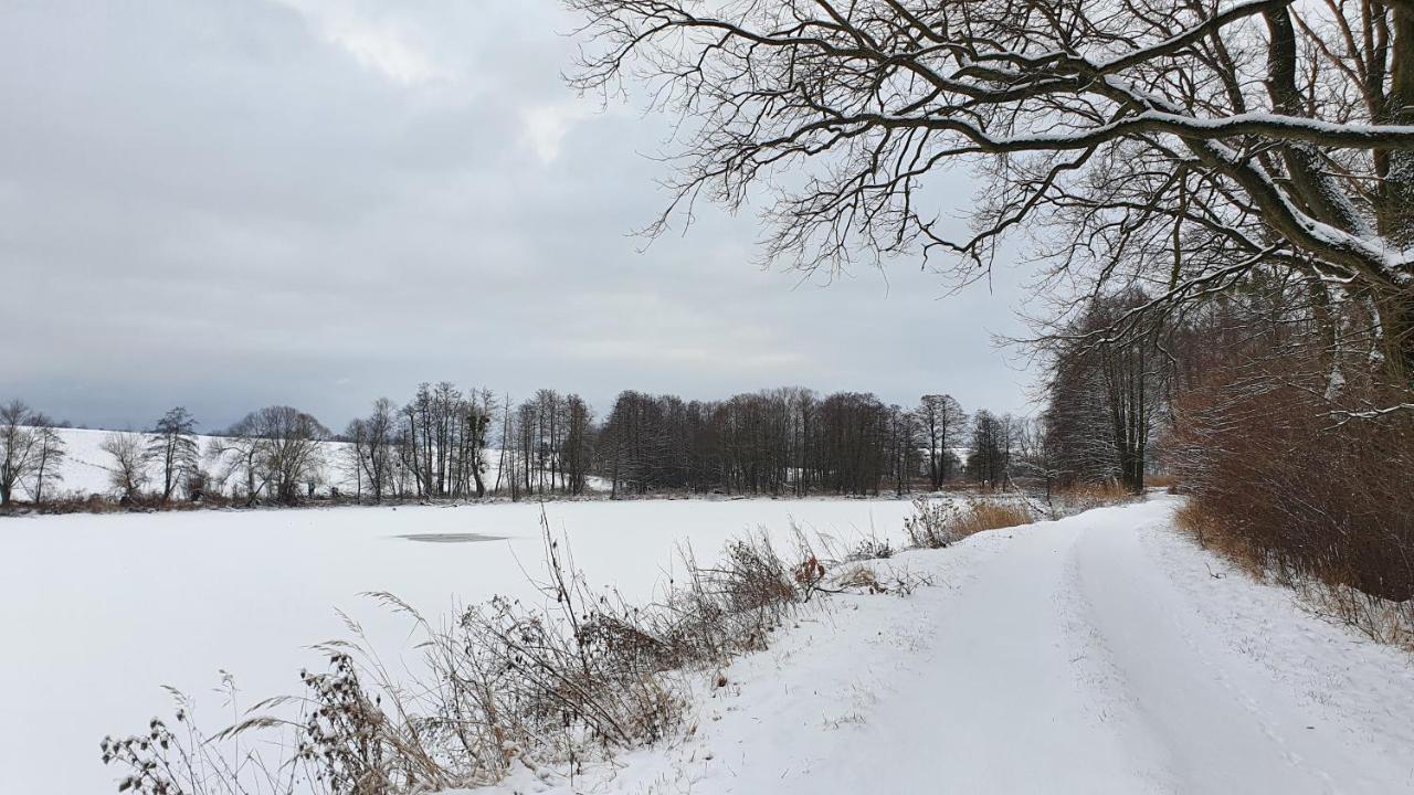 Nasz Debowiec - Dom Dla 15 Osob, Sauna, Widok Na Staw, Wielka Dzialka Exterior photo